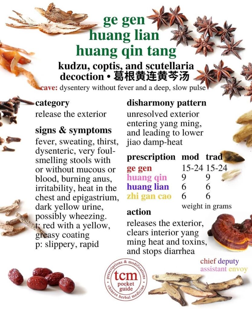tcm pocketguide ge gen huang lian huang qin tang • kudzu, coptis, and scutellaria decoction • 葛根黃蓮黃苓湯 - chinese herbal prescription - chinese medicine - tcm