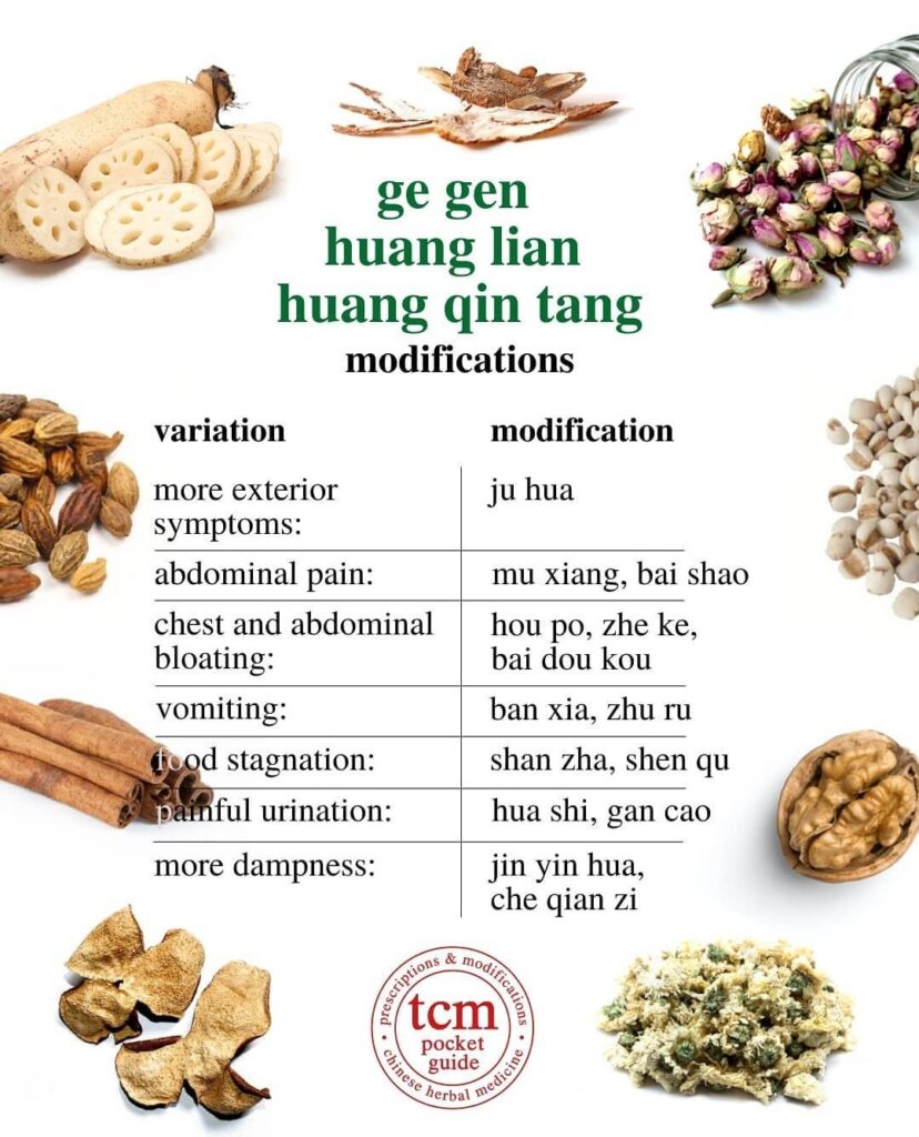 ge gen huang lian huang qin tang • kudzu, coptis, and scutellaria decoction • 葛根黃蓮黃苓湯 - modifications