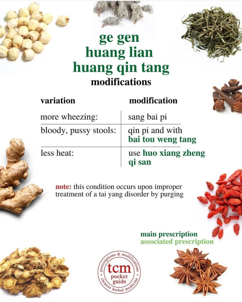 ge gen huang lian huang qin tang • kudzu, coptis, and scutellaria decoction • 葛根黃蓮黃苓湯 - modifications