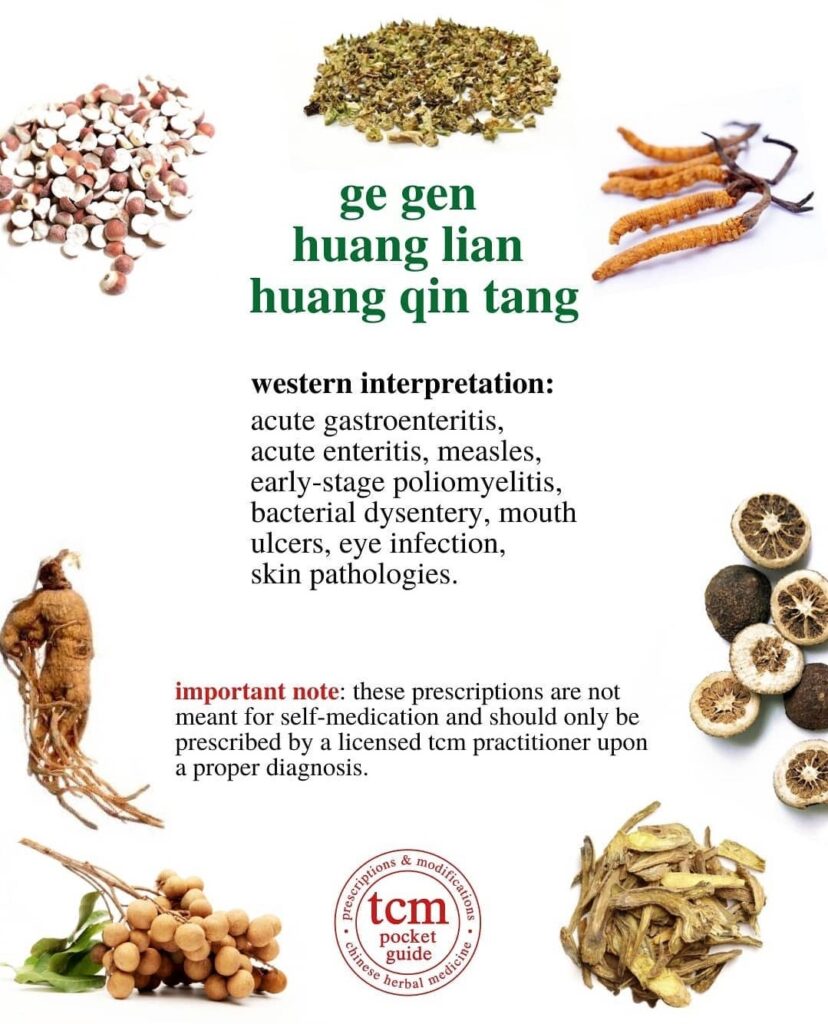 ge gen huang lian huang qin tang • kudzu, coptis, and scutellaria decoction • 葛根黃蓮黃苓湯 - western interpretation