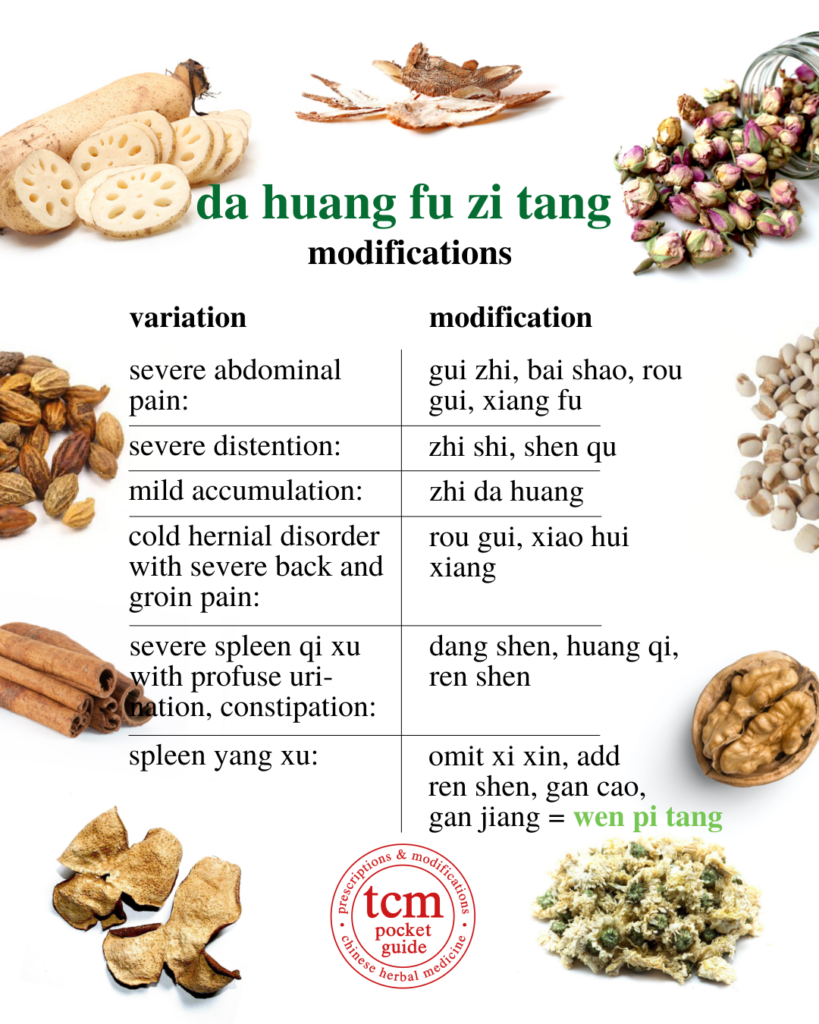 da huang fu zi tang • rhubarb and prepared aconite decoction • 大黃附子汤 modifications
