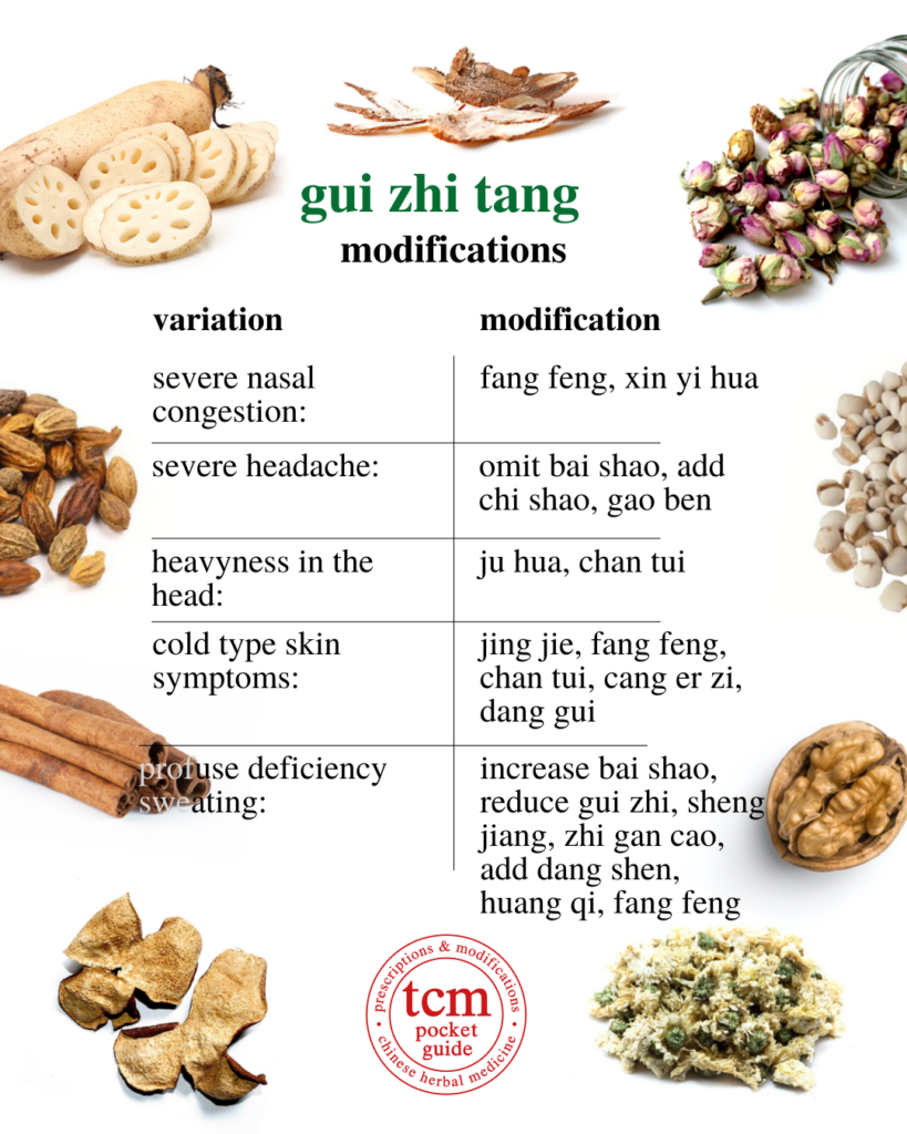 gui zhi tang • cinnamon twig decoction • 桂枝湯 - modifications