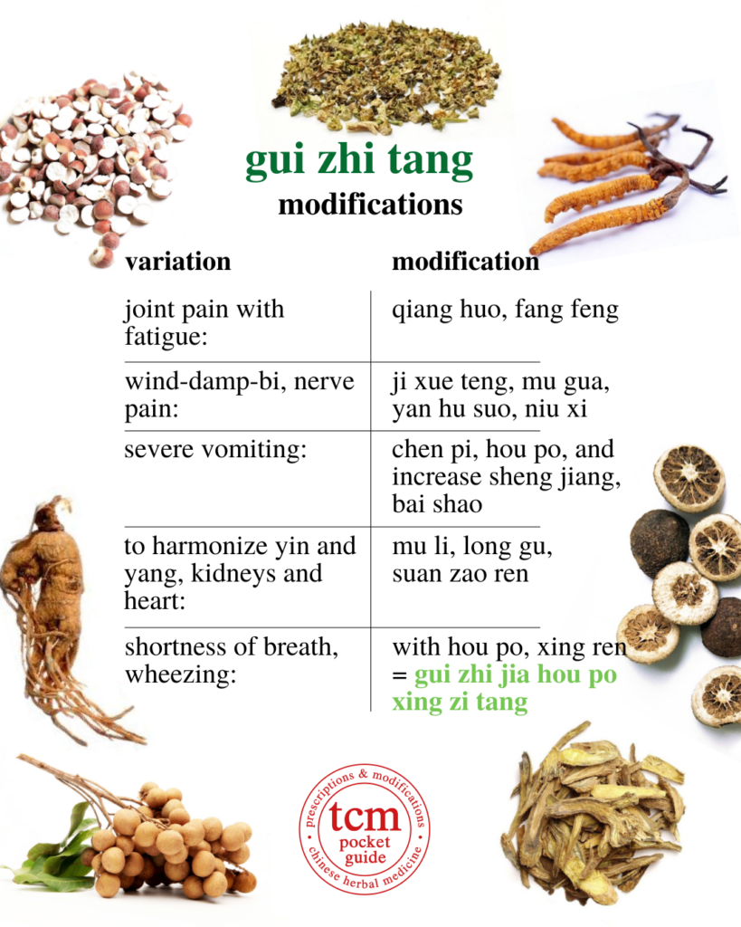 gui zhi tang • cinnamon twig decoction • 桂枝湯 - modifications