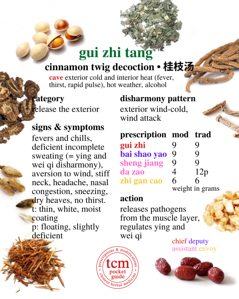 tcm pocketguide - gui zhi tang • cinnamon twig decoction • 桂枝湯 - chinese herbal prescription - chinese medicine - tcm