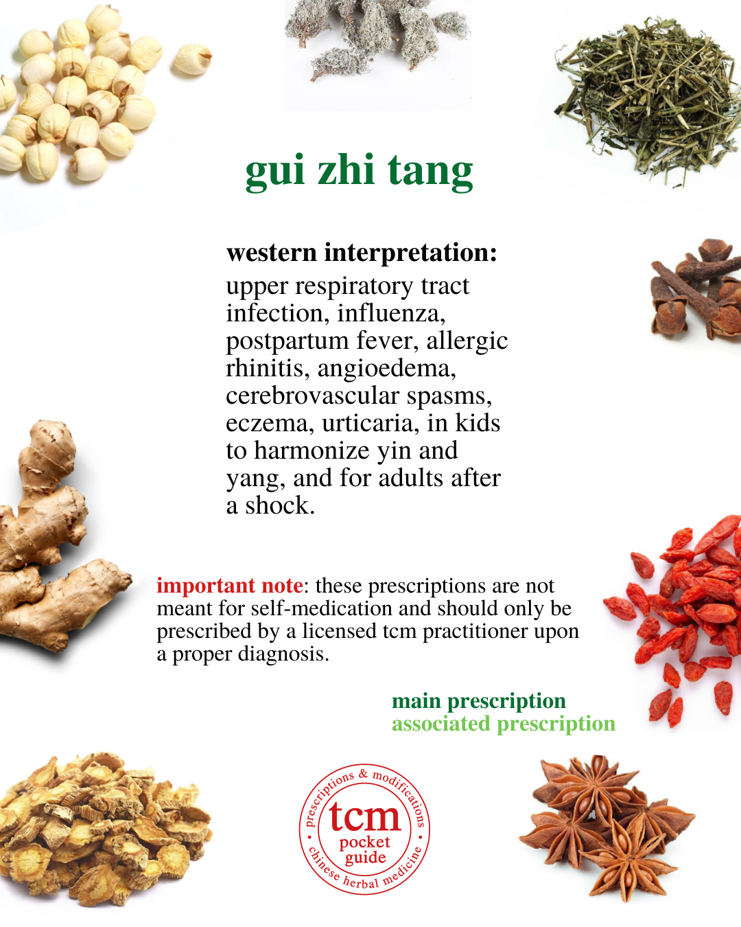 gui zhi tang • cinnamon twig decoction • 桂枝湯 - western interpretation