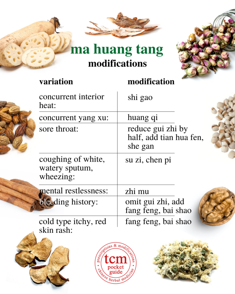 ma huang tang • ephedra decoction • 麻黃湯 - modifications