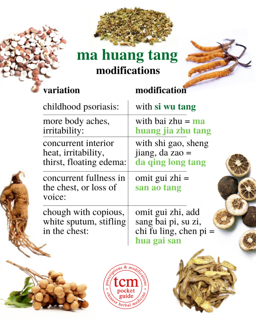 ma huang tang • ephedra decoction • 麻黃湯 - modifications