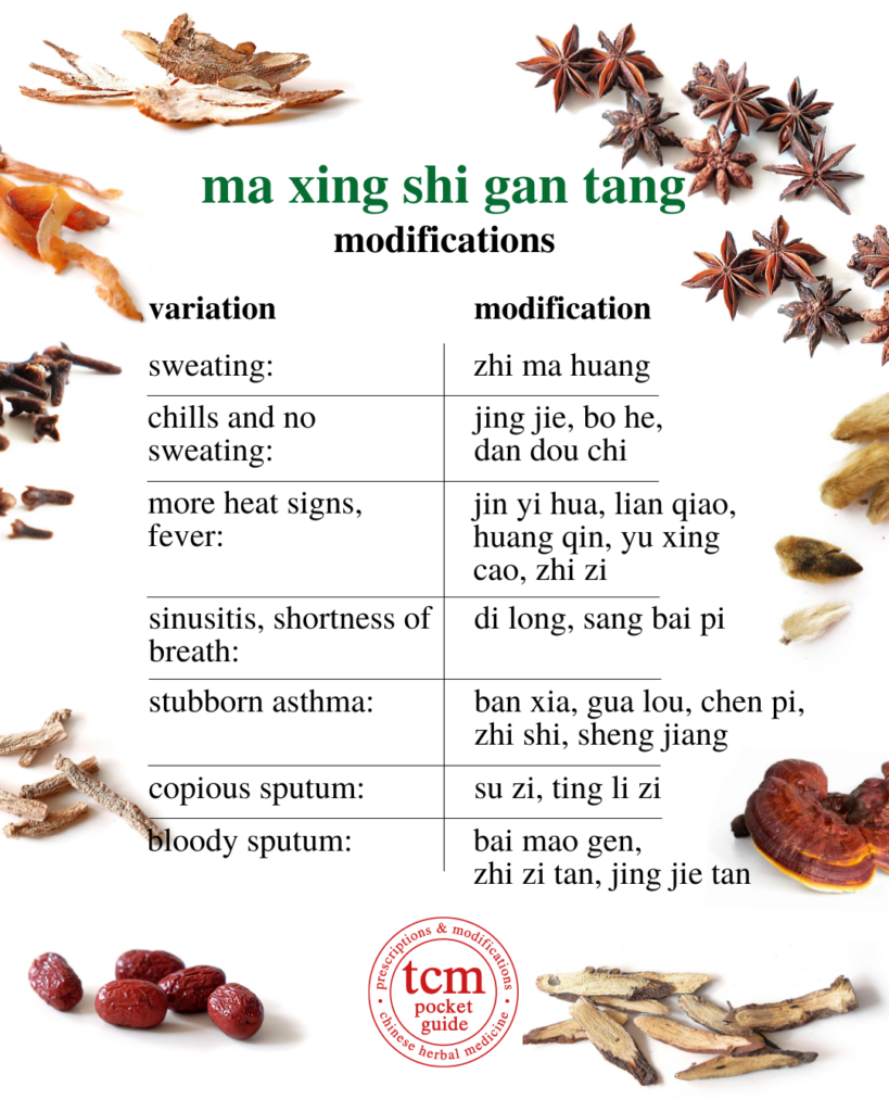 ma xing shi gan tang • ephedra, apricot kernel, gypsum, and licorice decoction • 麻杏石甘湯 - modifications