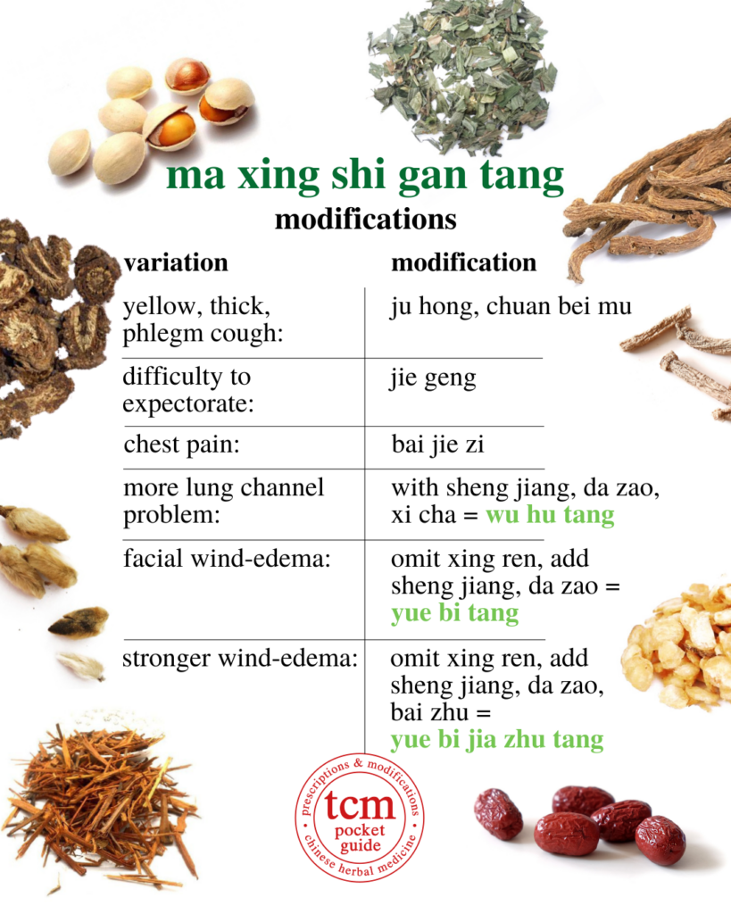 ma xing shi gan tang • ephedra, apricot kernel, gypsum, and licorice decoction • 麻杏石甘湯 - modifications