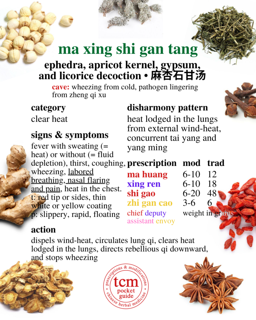tcm pocketguide - ma xing shi gan tang • ephedra, apricot kernel, gypsum, and licorice decoction • 麻杏石甘湯 - chinese herbal prescription - chinese medicine - tcm