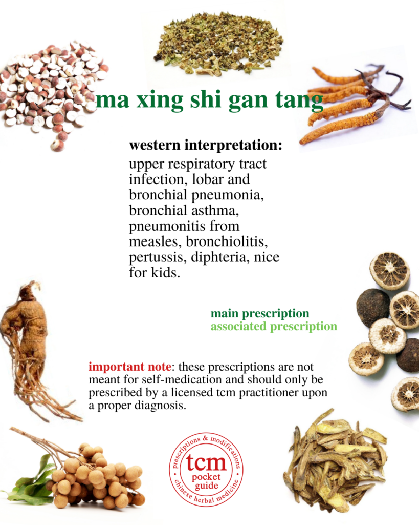 ma xing shi gan tang • ephedra, apricot kernel, gypsum, and licorice decoction • 麻杏石甘湯 - western interpretation