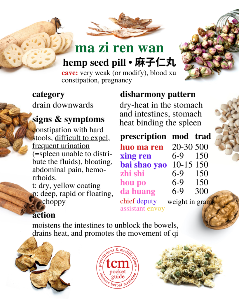 tcm pocketguide - ma zi ren wan • hemp seed pill • 麻子仁丸 - chinese herbal prescription - chinesse medicine - tcm