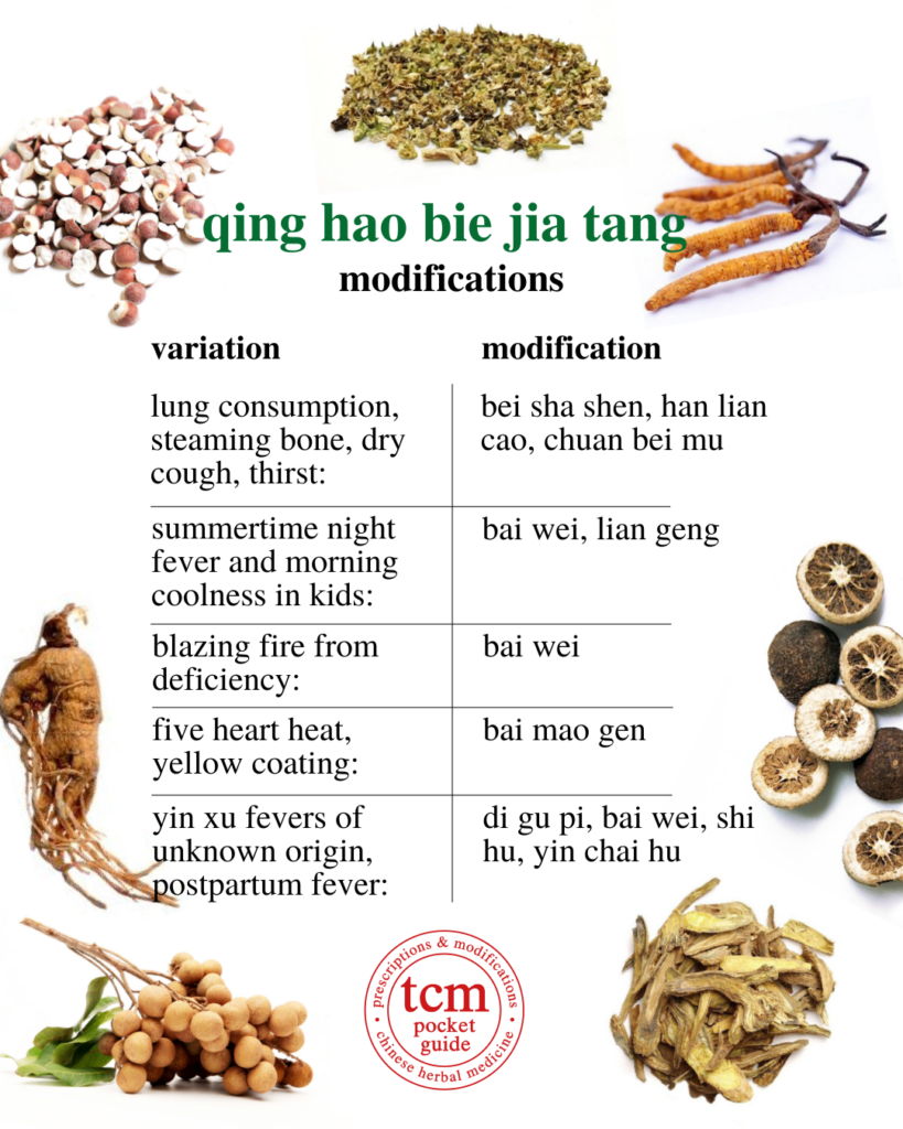 qing hao bie jia tang • artemisia annua and soft-shelled turtle shell decoction • 青蒿鳖甲汤 - modifications