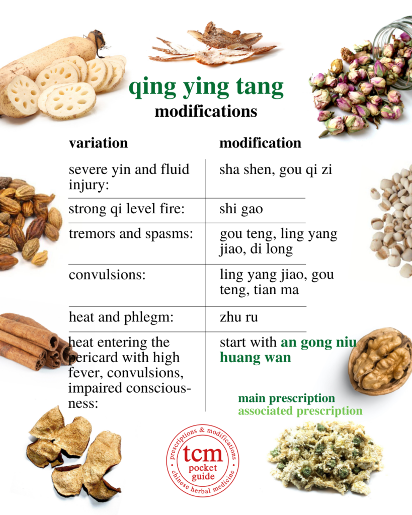 qing ying tang • qing ying tang • clear the nutritive level decoction • 清營湯 - modifications