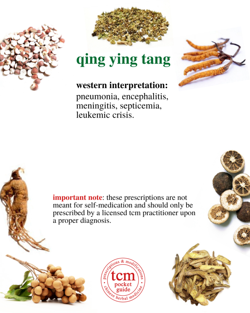 qing ying tang • qing ying tang • clear the nutritive level decoction • 清營湯 - western interpretation