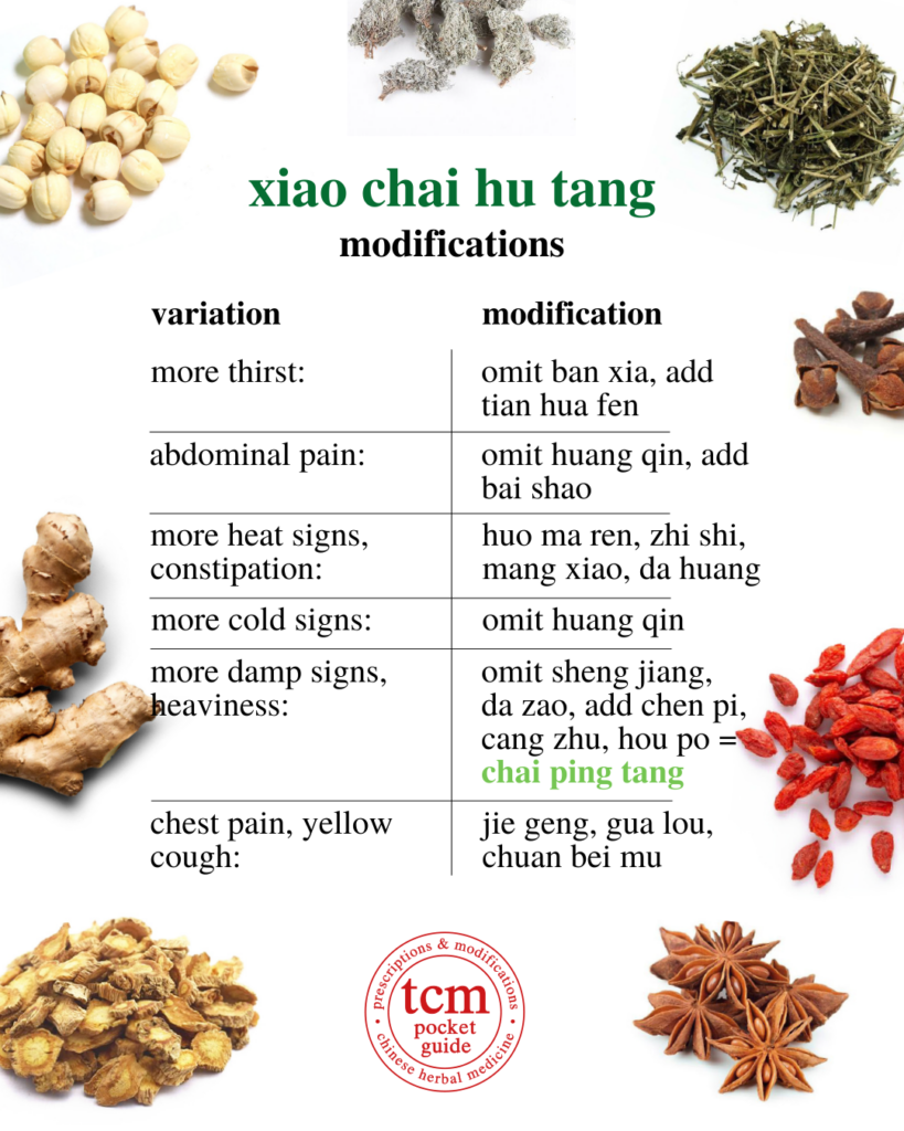 tcm pocketguide - xiao chai hu tang minor bupleurum decoction 小柴胡汤 chinese herbal prescription modification