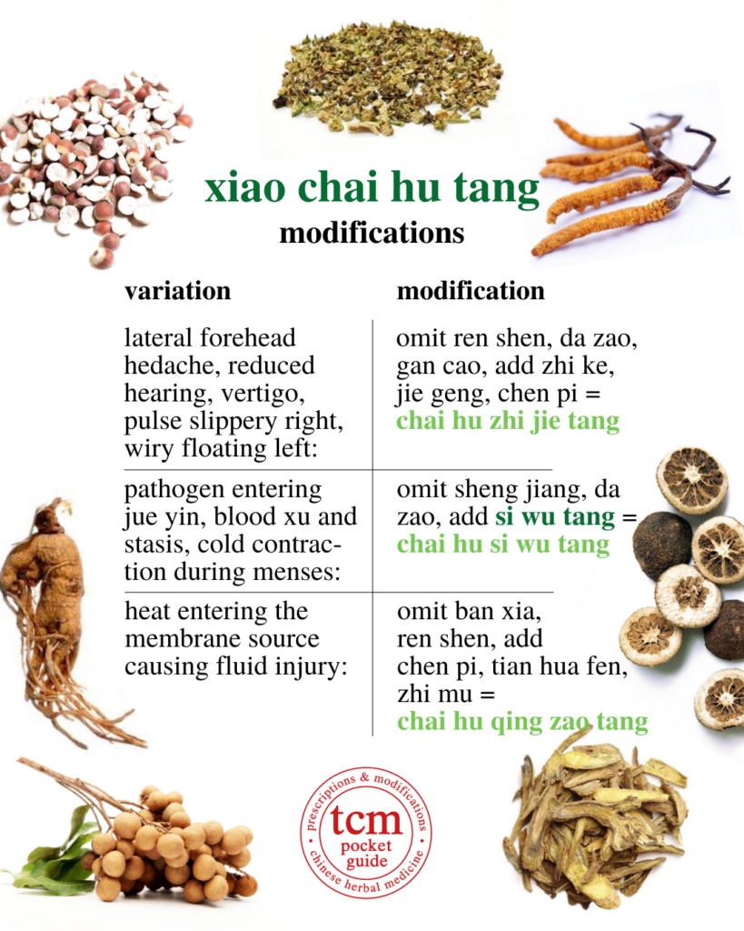 tcm pocketguide - xiao chai hu tang minor bupleurum decoction 小柴胡汤 chinese herbal prescription modifications
