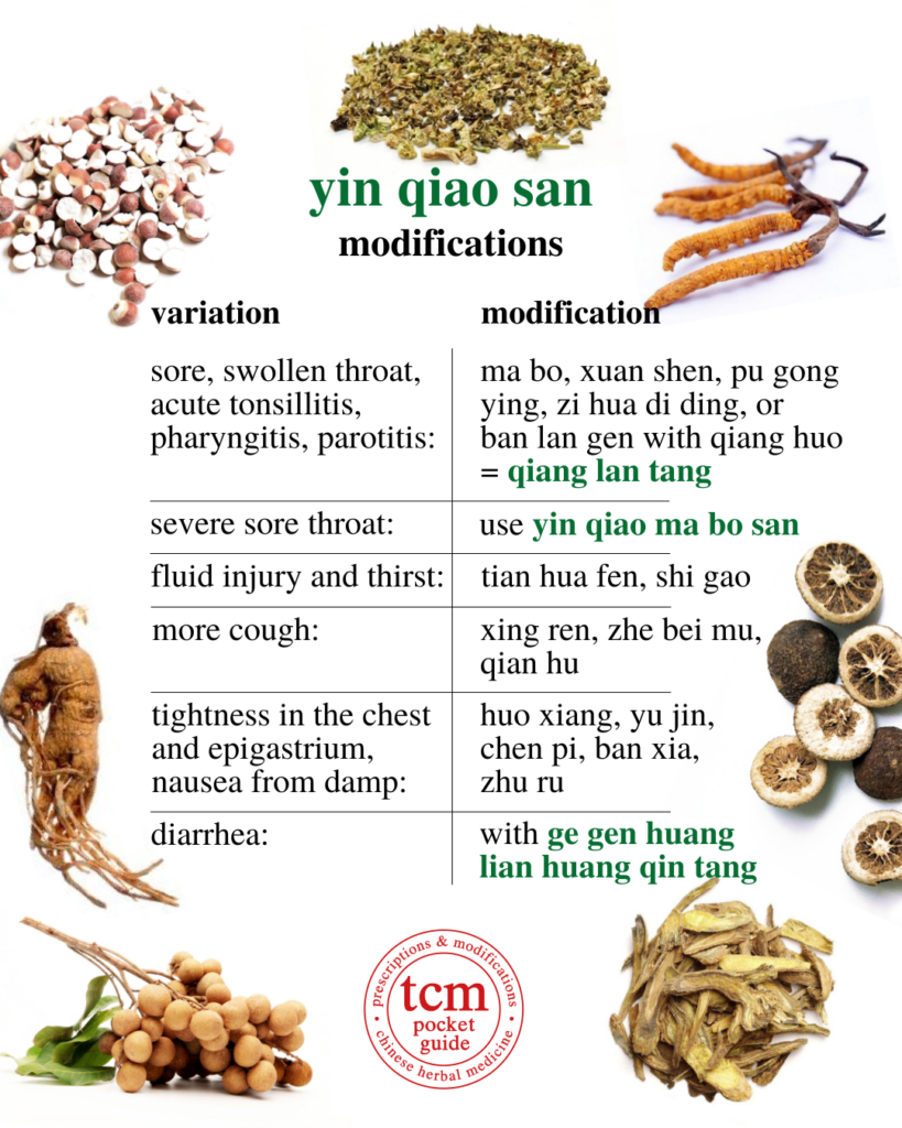 yin qiao san • honeysuckle and forsythia powder • 银翘散 - modifications