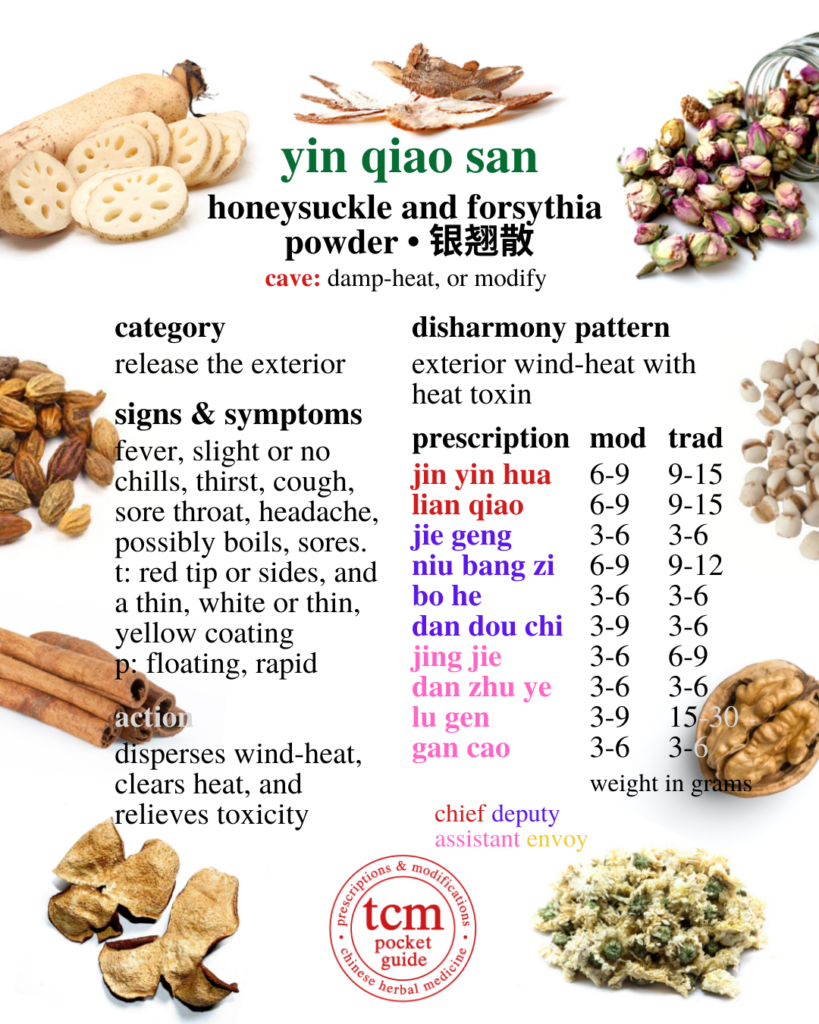 tcm pocketguide yin qiao san • honeysuckle and forsythia powder • 银翘散 - chinese herbal prescription - chinese medicine - tcm