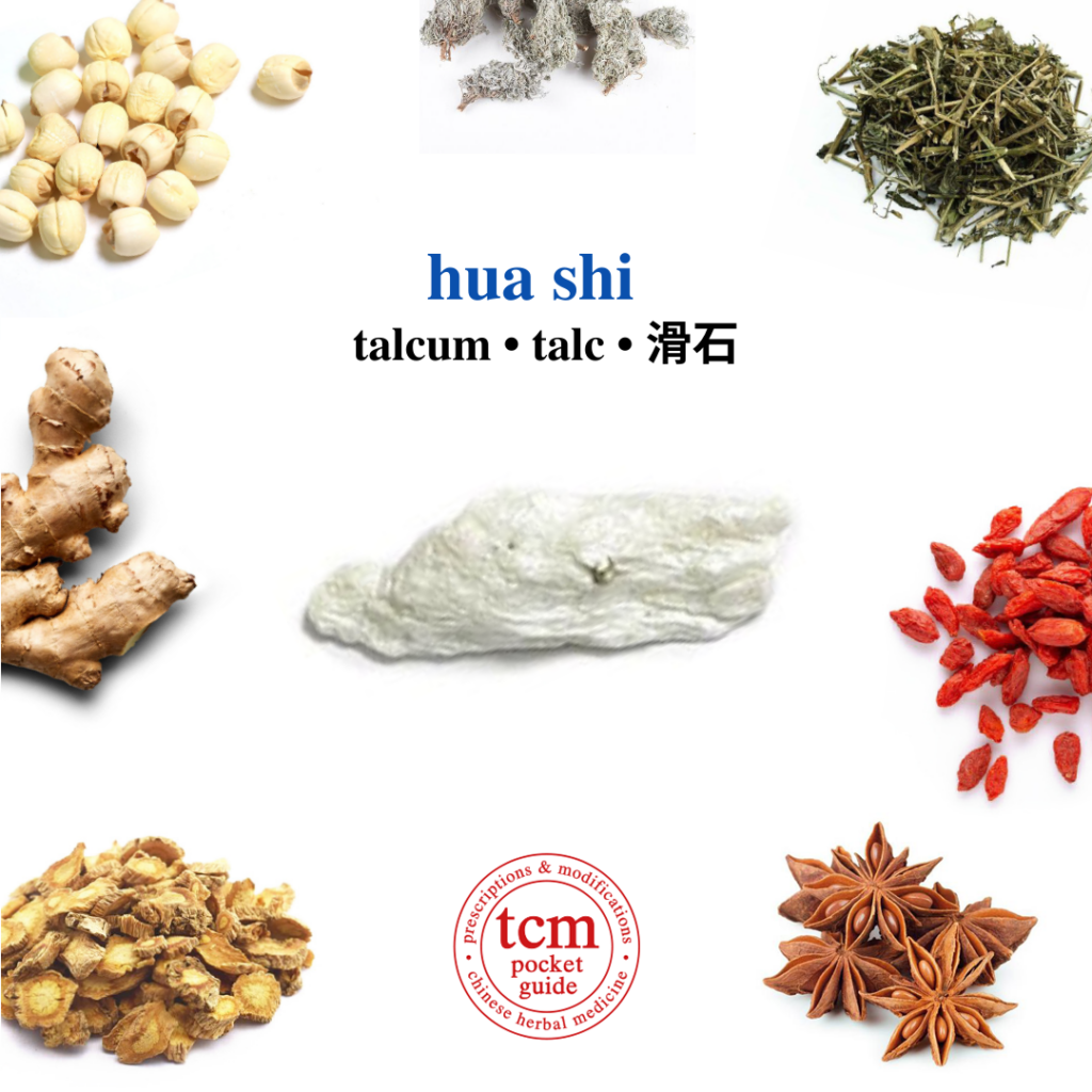 tcm pocketguide - hua shi • talcum • talc • 滑石 - herb - chinese herbal medicine - tcm