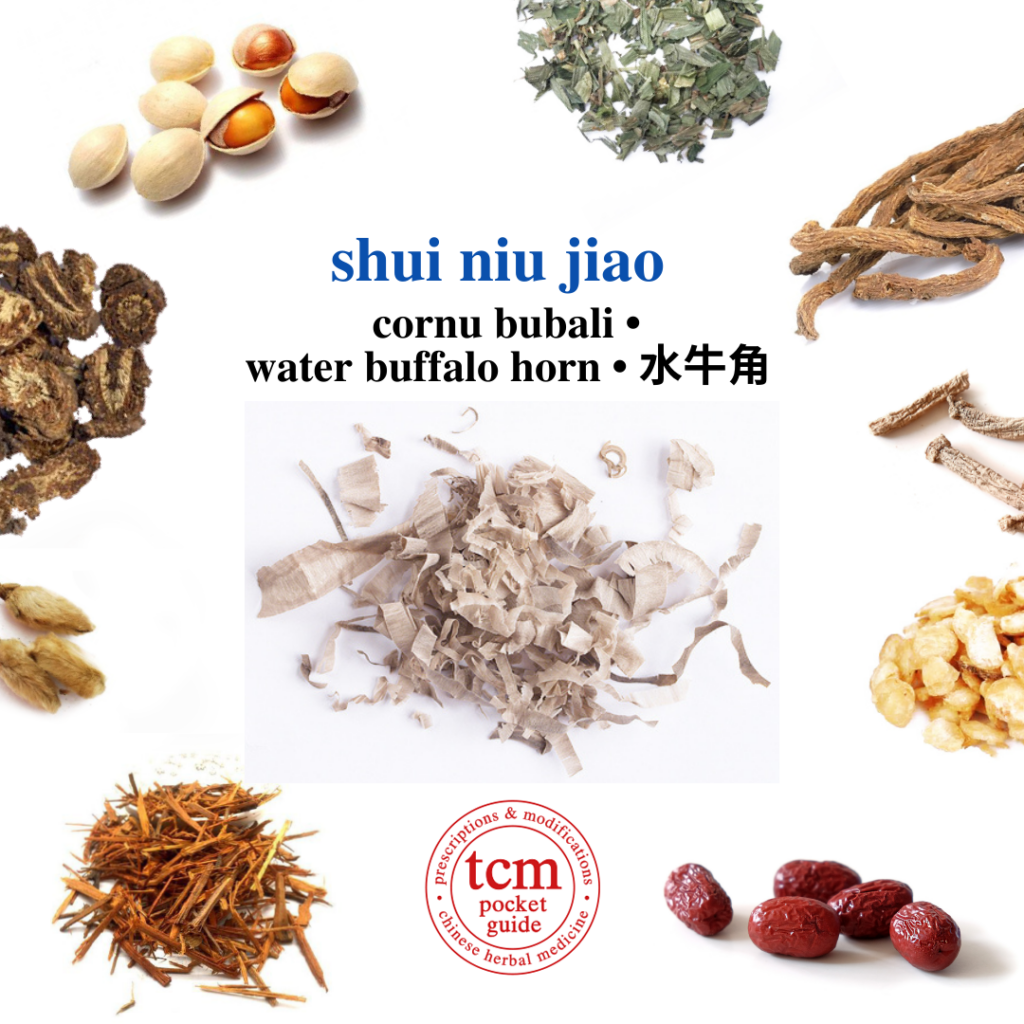 tcm pocketguide - shi gao • gypsum fibrosum • gypsum • 石膏 - herb - chinese herbal medicine - tcm