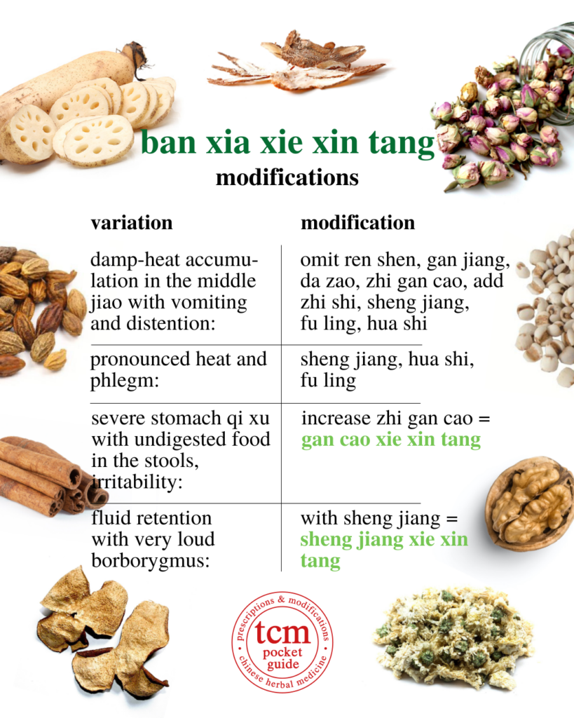 ban xia xie xin tang • pinellia decoction to drain the epigastrium • 半夏泻心汤 - modifications