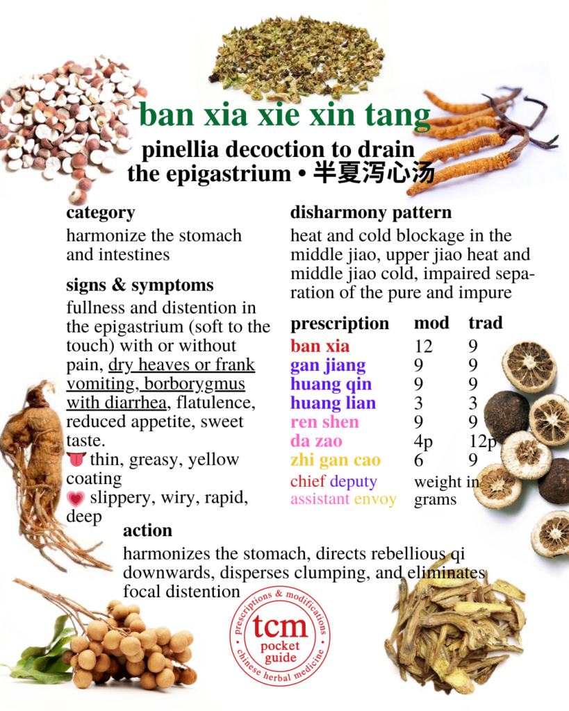 tcm pocketguide - ban xia xie xin tang • pinellia decoction to drain the epigastrium • 半夏泻心汤 - chinese herbal prescription - chinese medicine - tcm