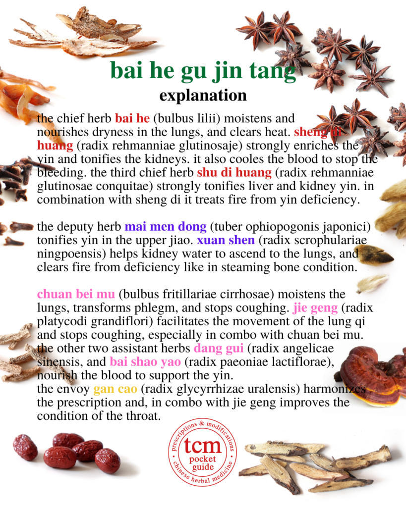 tcm pocketguide - bai he gu jin tang • lily bulb decoction to preserve the metal • 百合固金汤 - explanation