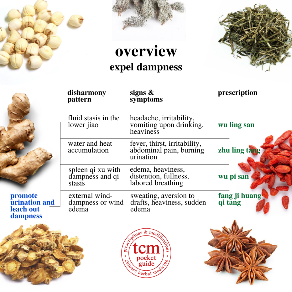 tcm pocketguide - 6th overview • expel dampness - promote urination and leach out dampness