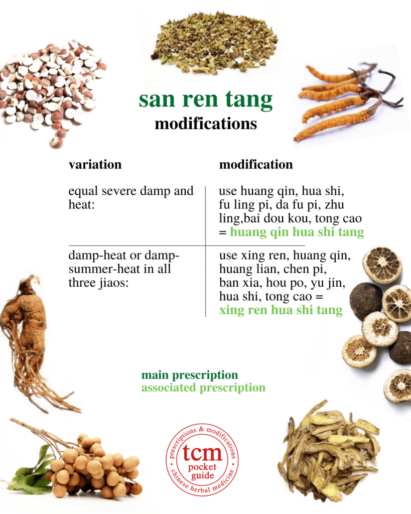 tcm pocketguide - san ren tang • three nut decoction • 三仁湯 - modifications 2