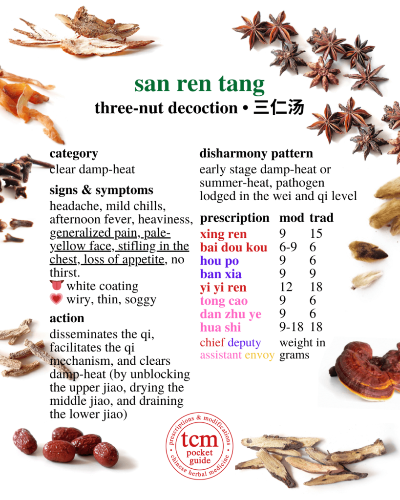 tcm pocketguide - san ren tang • three nut decoction • 三仁湯 - prescription