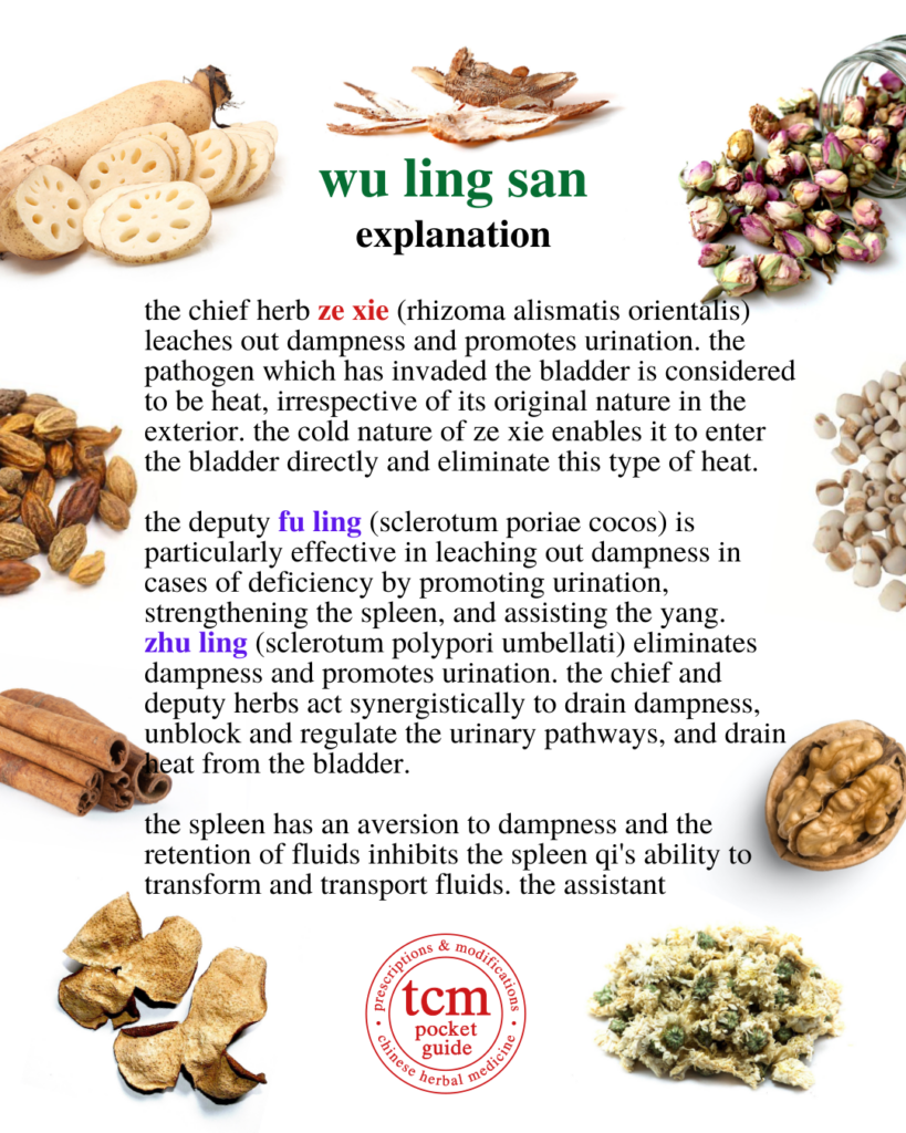 tcm pocketguide - wu ling san • five ingredient powder with poria • 五苓散 - explanation