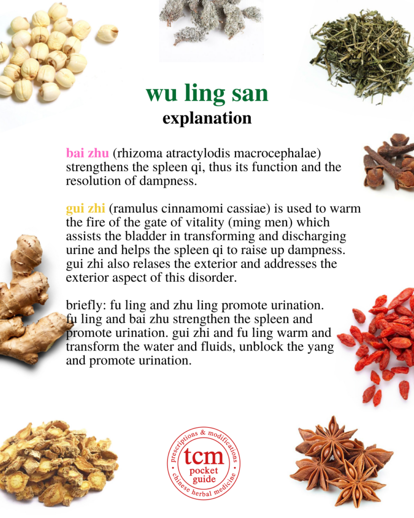 tcm pocketguide - wu ling san • five ingredient powder with poria • 五苓散 - explanation 2