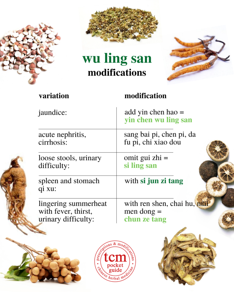 tcm pocketguide - wu ling san • five ingredient powder with poria • 五苓散 - modifications 2