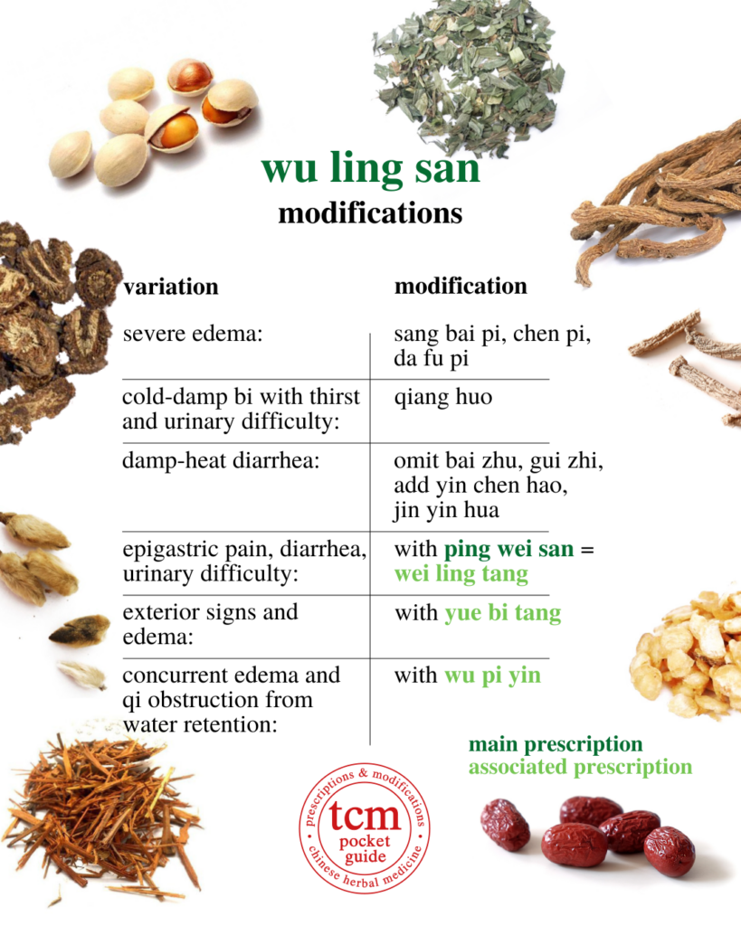 tcm pocketguide - wu ling san • five ingredient powder with poria • 五苓散 - modifications