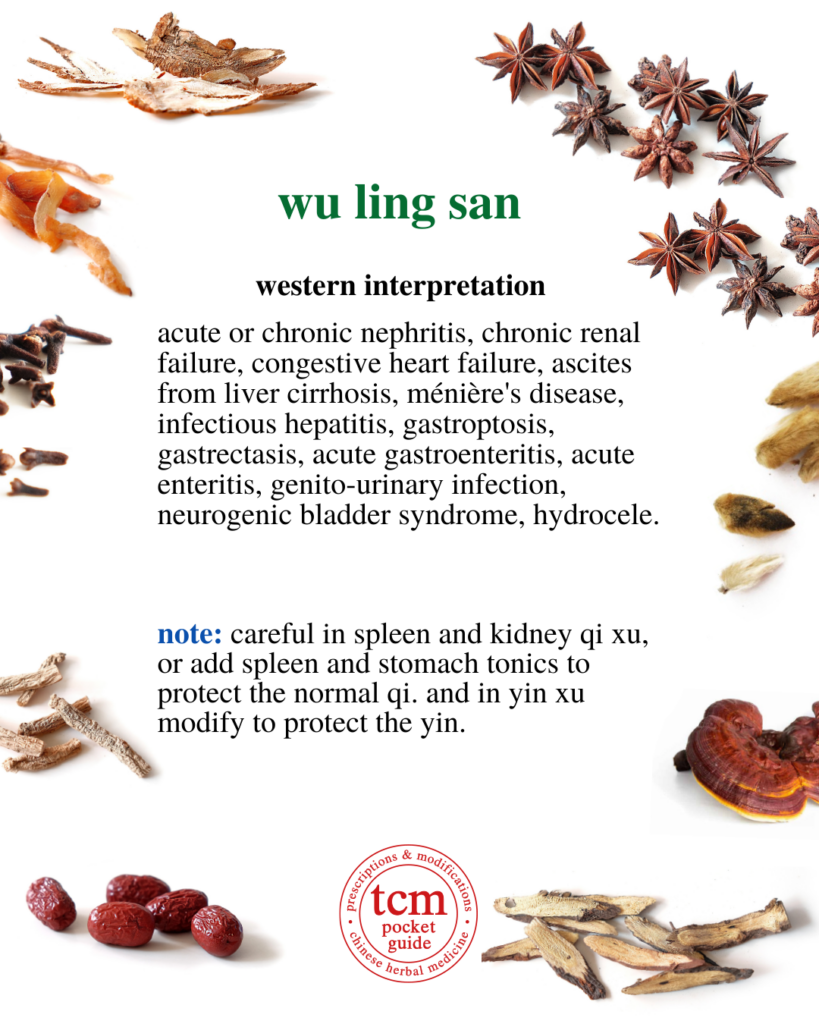 tcm pocketguide - wu ling san • five ingredient powder with poria • 五苓散 - western interpretation