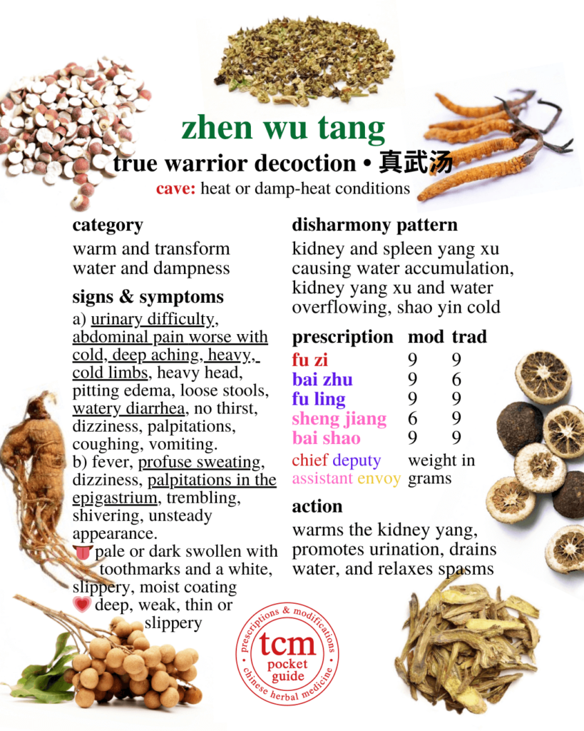 tcm pocketguide - zhen wu tang • true warrior decoction • 真武湯 - prescription