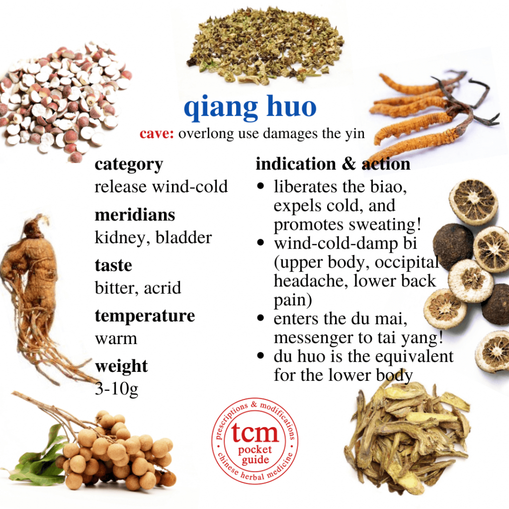 tcm pocketguide - qiang huo • radix notopterygii • notopterygium root • 羌活 - indication action