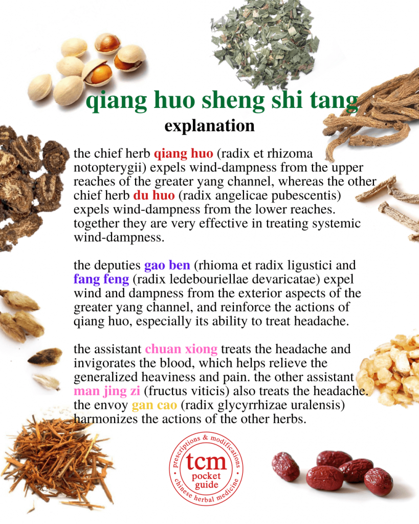 tcm pocketguide - qiang huo sheng shi tang • notopterygium decoction to overcome dampness • 羌活胜湿汤 - explanation