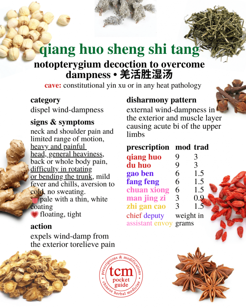 tcm pocketguide - qiang huo sheng shi tang • notopterygium decoction to overcome dampness • 羌活胜湿汤 - prescription