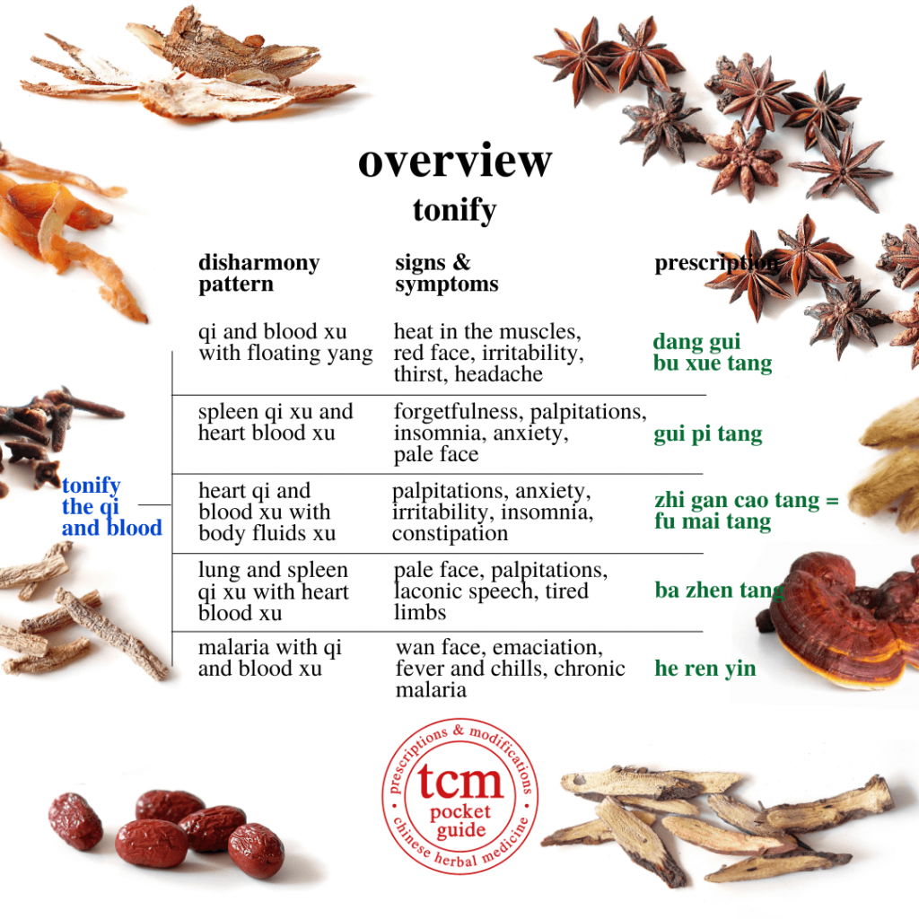 tcm pocketguide - 8th overview • tonify the qi and blood