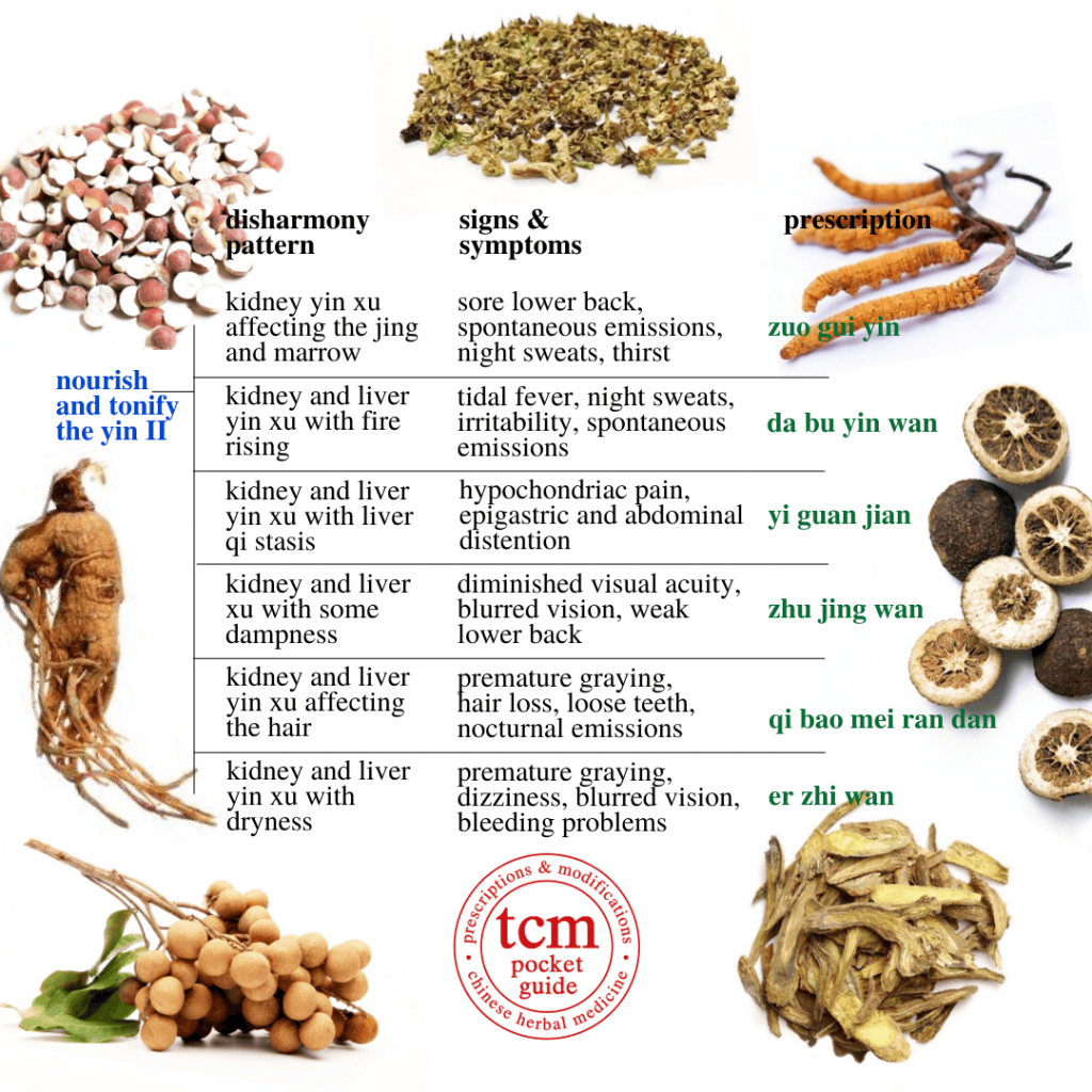 tcm pocketguide - 8th overview • nourish and tonify the yin II