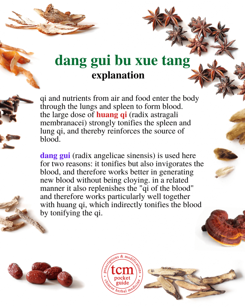 tcm pocketguide - dang gui bu xue tang • tangkuei decoction to tonify the blood • 當歸補血湯 - explanation