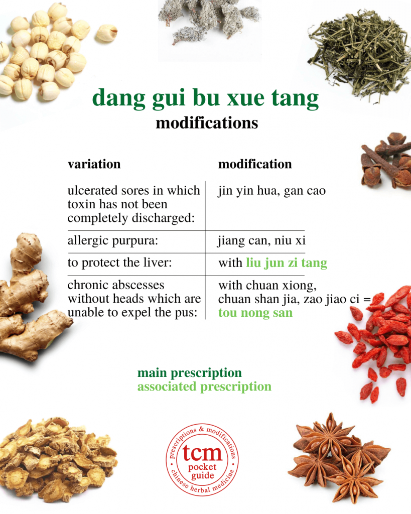 tcm pocketguide - dang gui bu xue tang • tangkuei decoction to tonify the blood • 當歸補血湯 - modification