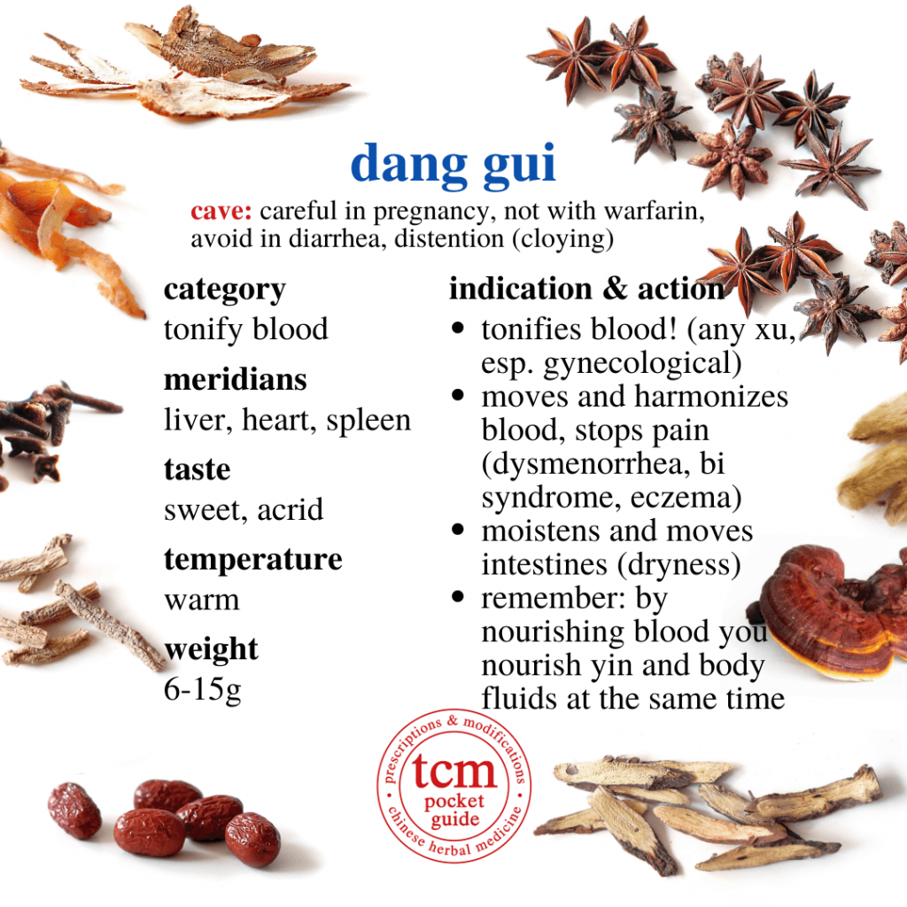 tcm pocketguide - dang gui • radix angelicae sinensis • chinese angelica root • 当归 - indication action