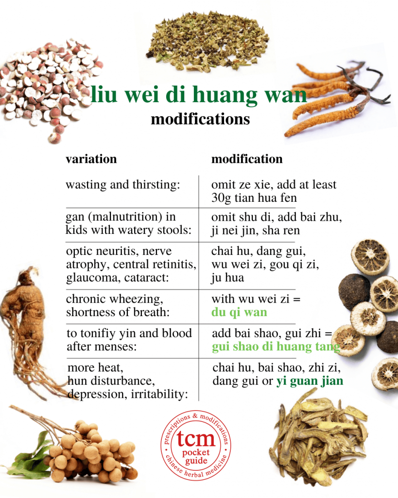 tcm pocketguide - liu wei di huang wan • six-ingredient pill with rehmannia • 六味地黄丸 - modification 2