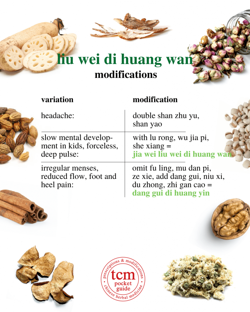 tcm pocketguide - liu wei di huang wan • six-ingredient pill with rehmannia • 六味地黄丸 - modification 3