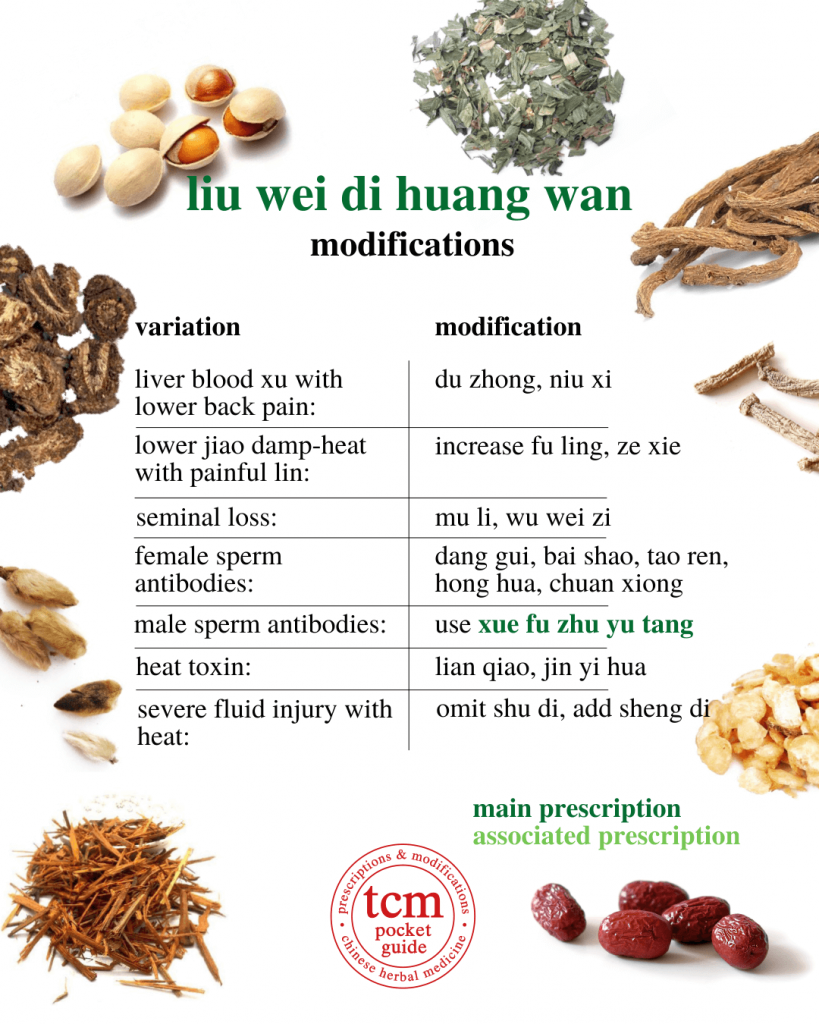 tcm pocketguide - liu wei di huang wan • six-ingredient pill with rehmannia • 六味地黄丸 - modification