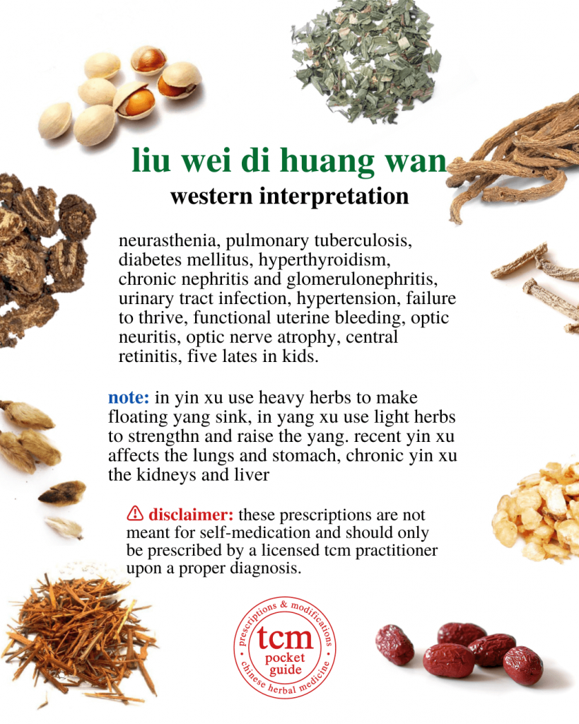 tcm pocketguide - liu wei di huang wan • six-ingredient pill with rehmannia • 六味地黄丸 - western interpretation