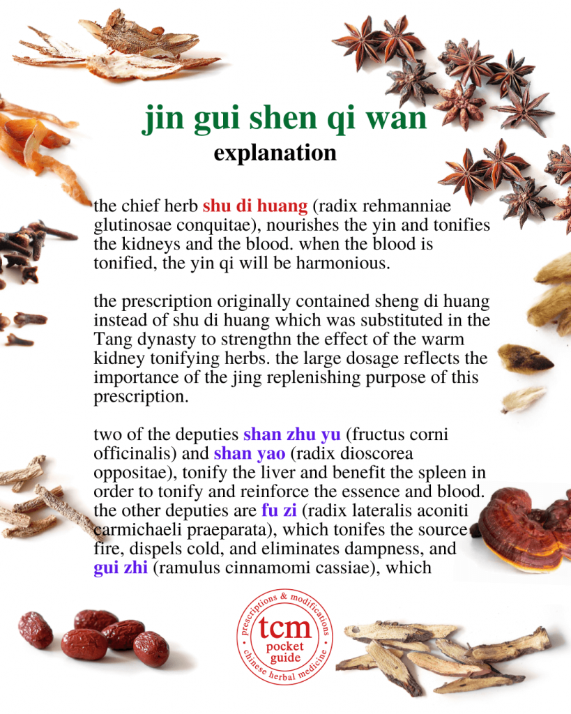 tcm pocketguide - jin gui shen qi wan • kidney qi pill from the golden cabinet • 金匱腎氣丸 - explanation